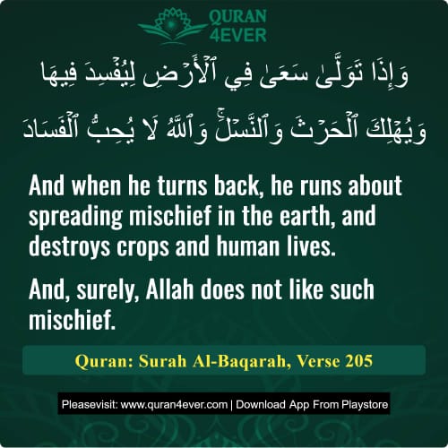 Quran Surah 2 Verse 205