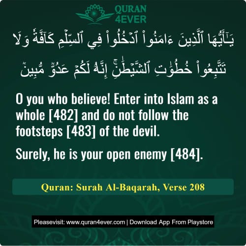 Quran Surah 2 Verse 208