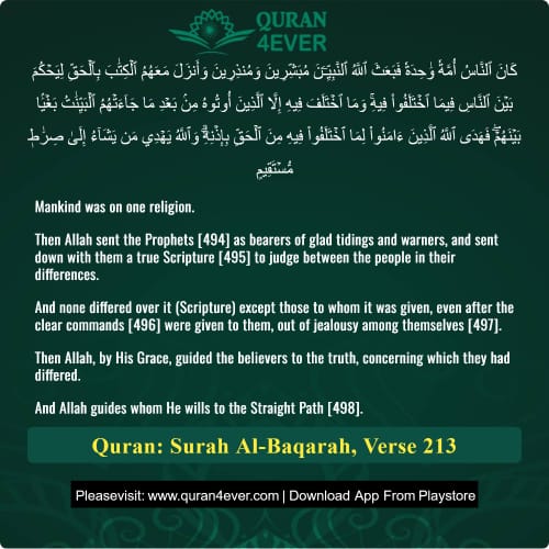 Quran Surah 2 Verse 213