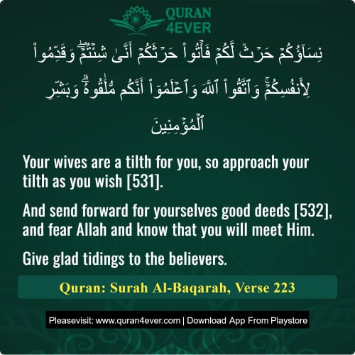 Quran Surah 2 Verse 223