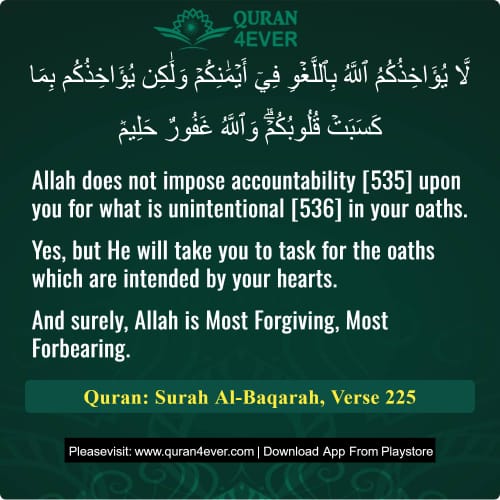 Quran Surah 2 Verse 225