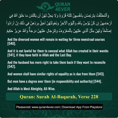 Quran Surah 2 Verse 228