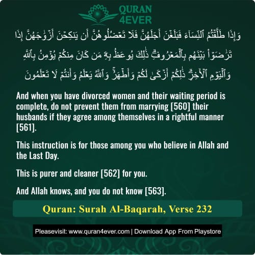 Quran Surah 2 Verse 232