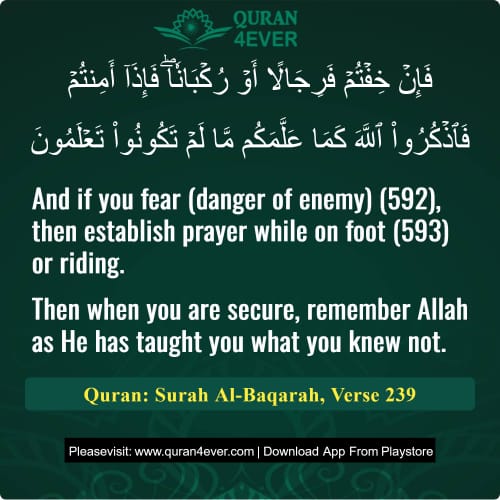 Quran Surah 2 Verse 239