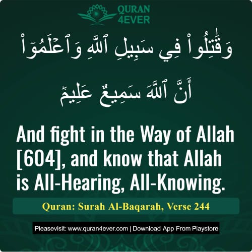 Quran Surah 2 Verse 244