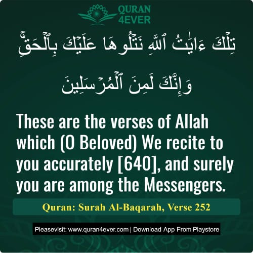 Quran Surah 2 Verse 252