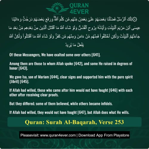 Quran Surah 2 Verse 253