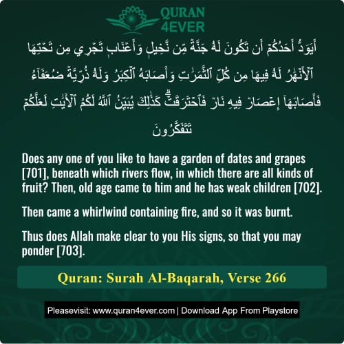 Quran Surah 2 Verse 266