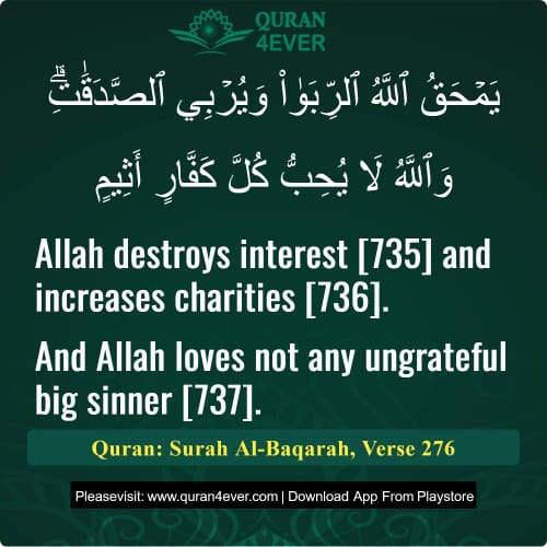 Quran Surah 2 Verse 276