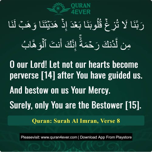 Quran Surah 3 Verse 8