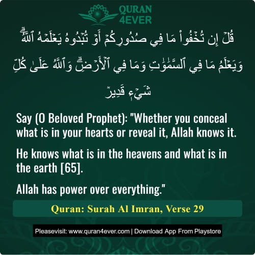 Quran Surah 3 Verse 29