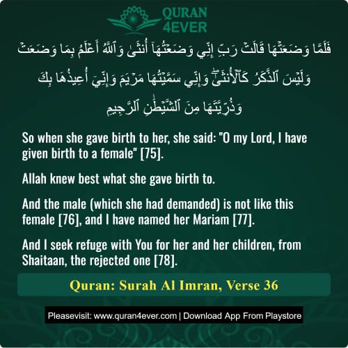 Quran Surah 3 Verse 36