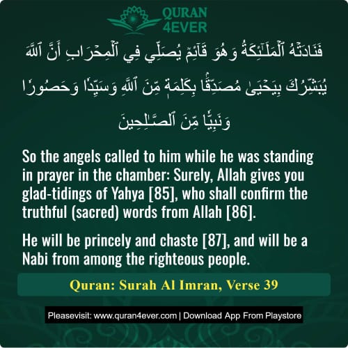 Quran Surah 3 Verse 39