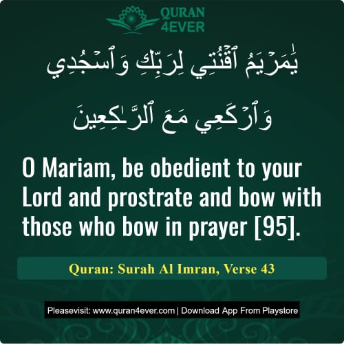 Quran Surah 3 Verse 43