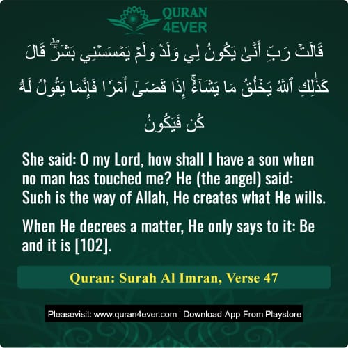 Quran Surah 3 Verse 47