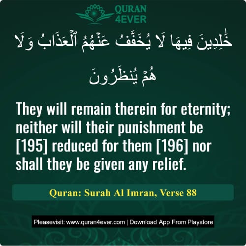 Quran Surah 3 Verse 88