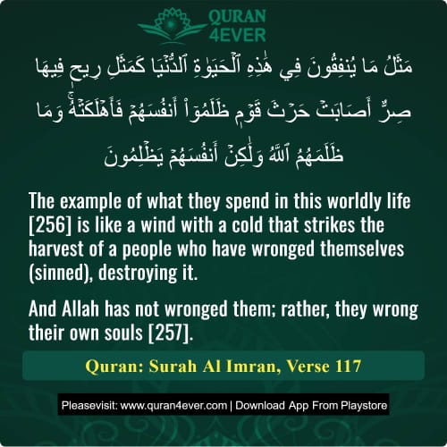Quran Surah 3 Verse 117
