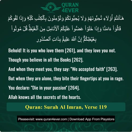 Quran Surah 3 Verse 119