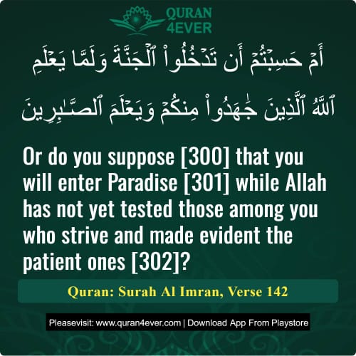 Quran Surah 3 Verse 142
