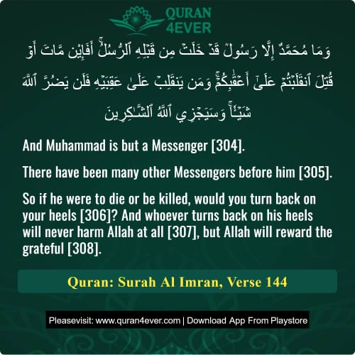 Quran Surah 3 Verse 144