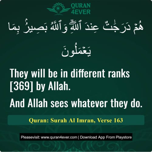 Quran Surah 3 Verse 163