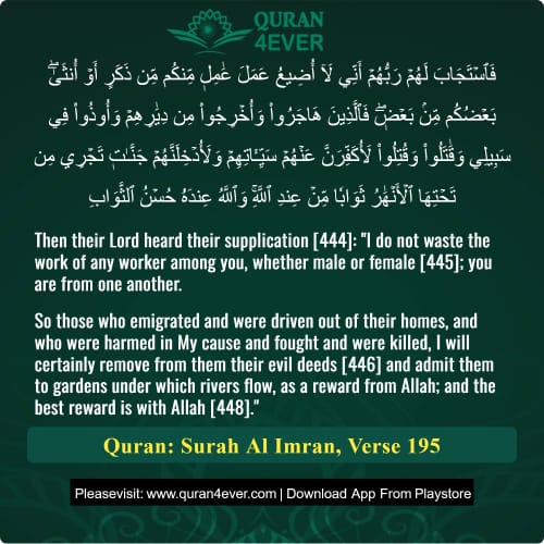 Quran Surah 3 Verse 195