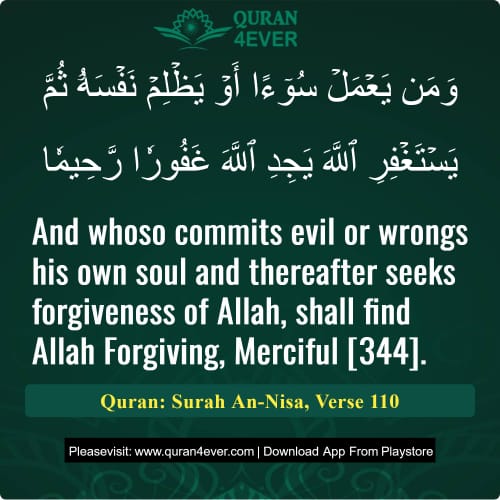 Quran Surah 4 Verse 110