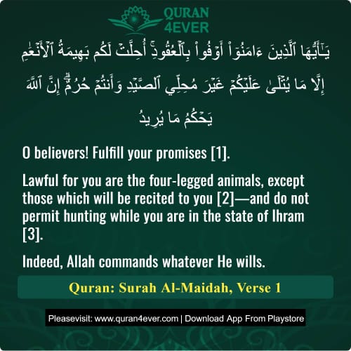 Quran Surah 5 Verse 1