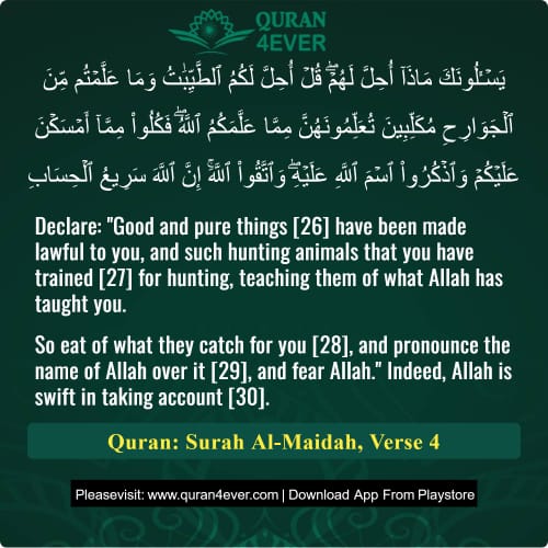 Quran Surah 5 Verse 4