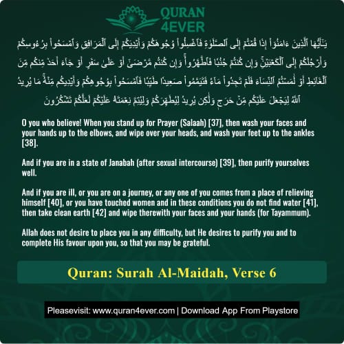 Quran Surah 5 Verse 6 Quran Surah 5 Verse 6