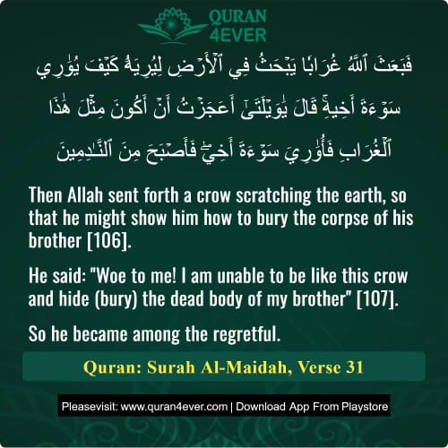 Quran Surah 5 Verse 31