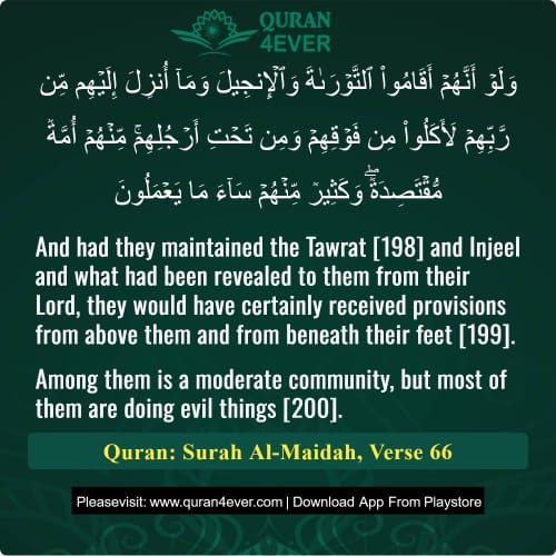 Quran Surah 5 Verse 66