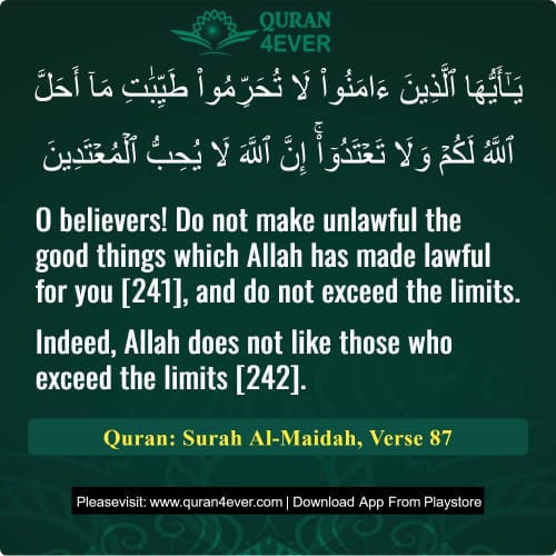 Quran Surah 5 Verse 87