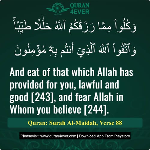 Quran Surah 5 Verse 88