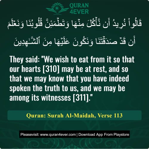Quran Surah 5 Verse 113