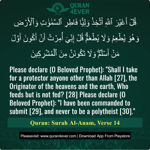 Quran Surah 6 Verse 14