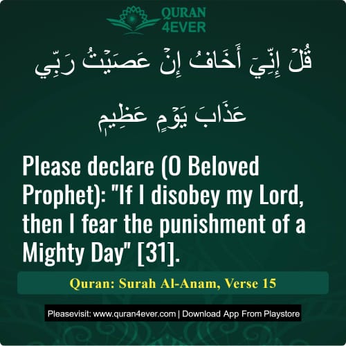 Quran Surah 6 Verse 15