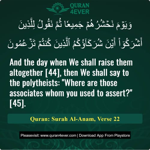 Quran Surah 6 Verse 22
