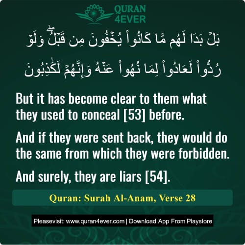 Quran Surah 6 Verse 28