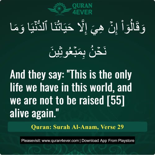 Quran Surah 6 Verse 29