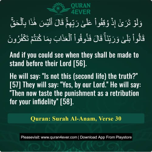 Quran Surah 6 Verse 30