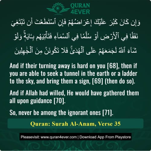 Quran Surah 6 Verse 35