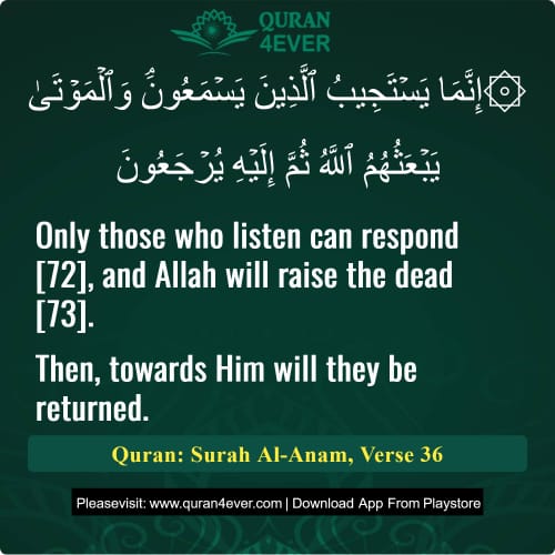 Quran Surah 6 Verse 36