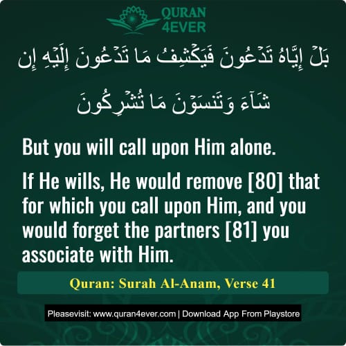 Quran Surah 6 Verse 41