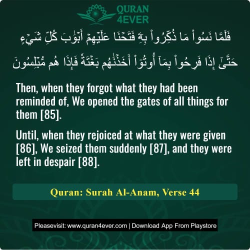 Quran Surah 6 Verse 44