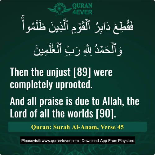 Quran Surah 6 Verse 45