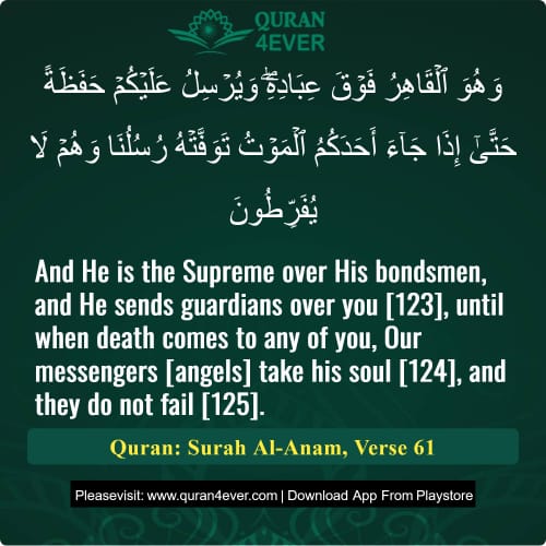 Quran Surah 6 Verse 61
