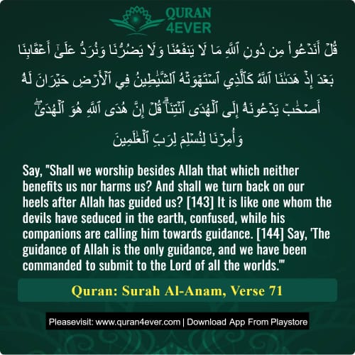 Quran Surah 6 Verse 71