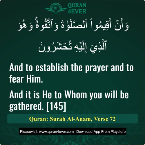 Quran Surah 6 Verse 72