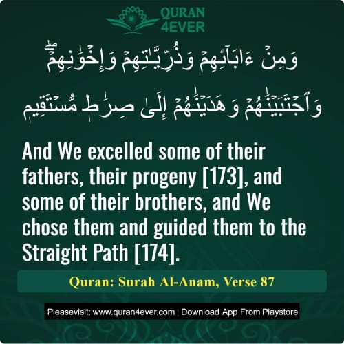 Quran Surah 6 Verse 87